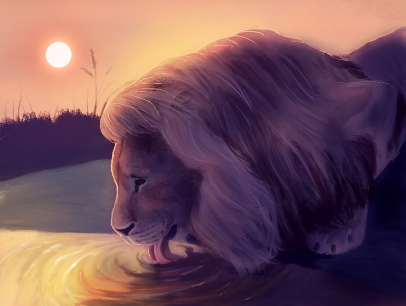 Лев в воде