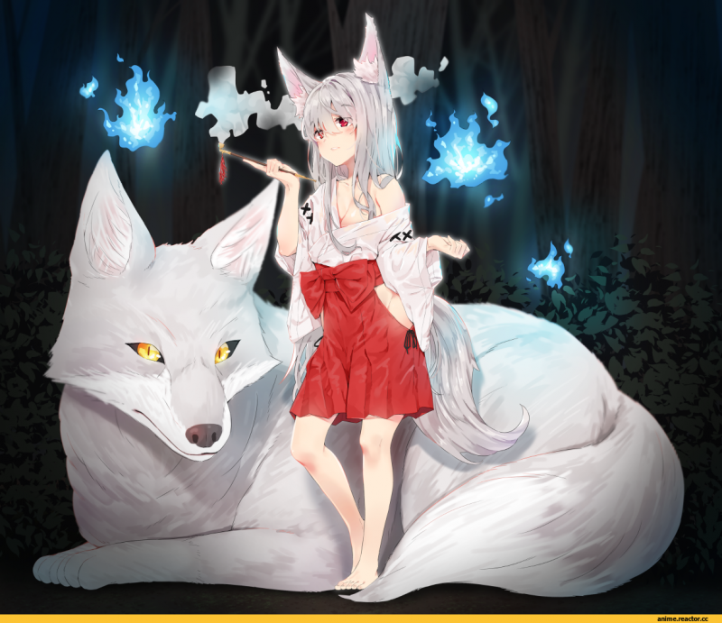 Мраморная лиса (Marble Fox)