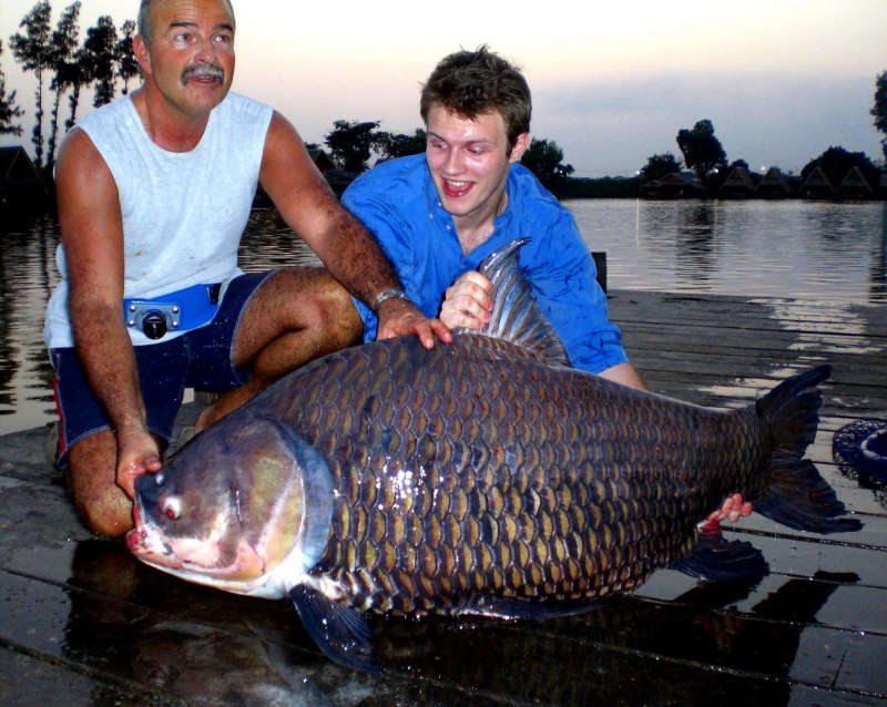 Морской окунь Черноморский