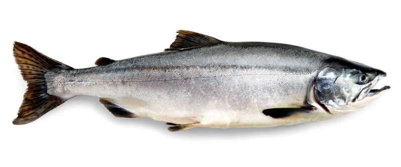 Black Cod Miso