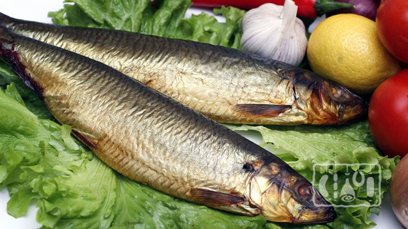 Европейская сардина