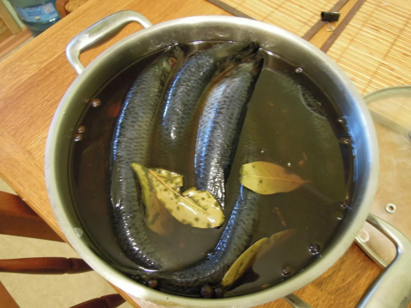 Бранзина сибас