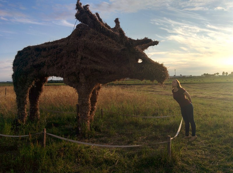 Косуля Куршская коса