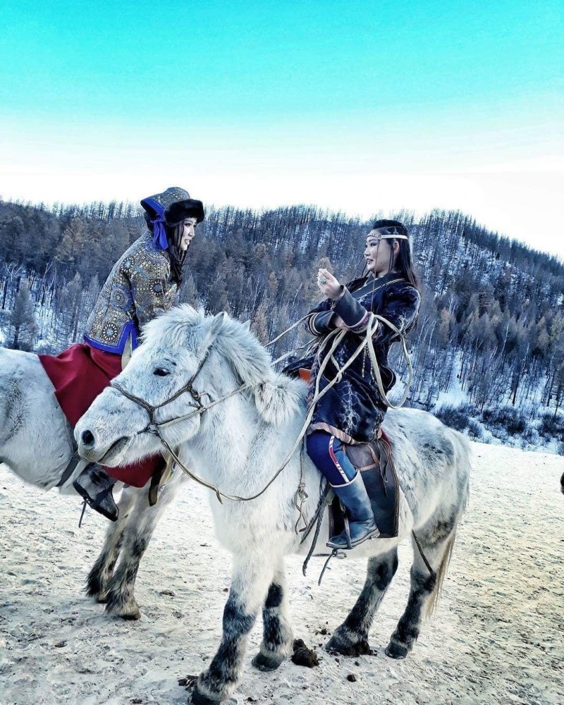 Монгольский пони