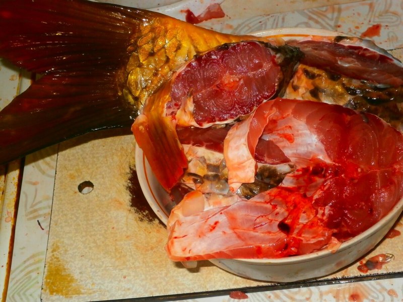 Рыба с красным мясом
