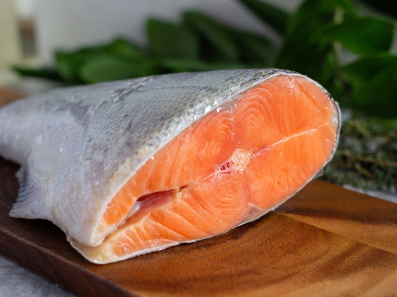 Лосось стальноголовый (Salmo gairdneri)