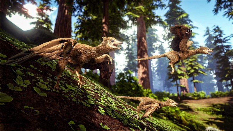 Ark Survival Evolved Archaeopteryx