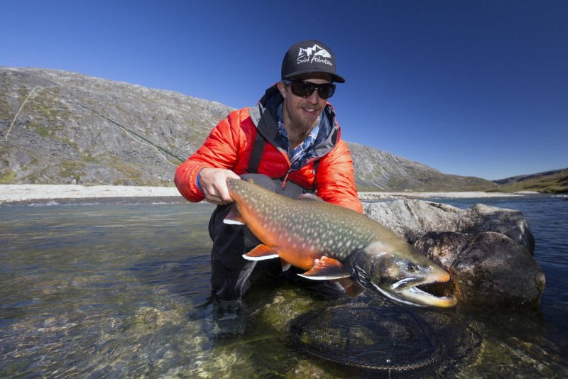 Арктический голец Salvelinus Alpinus