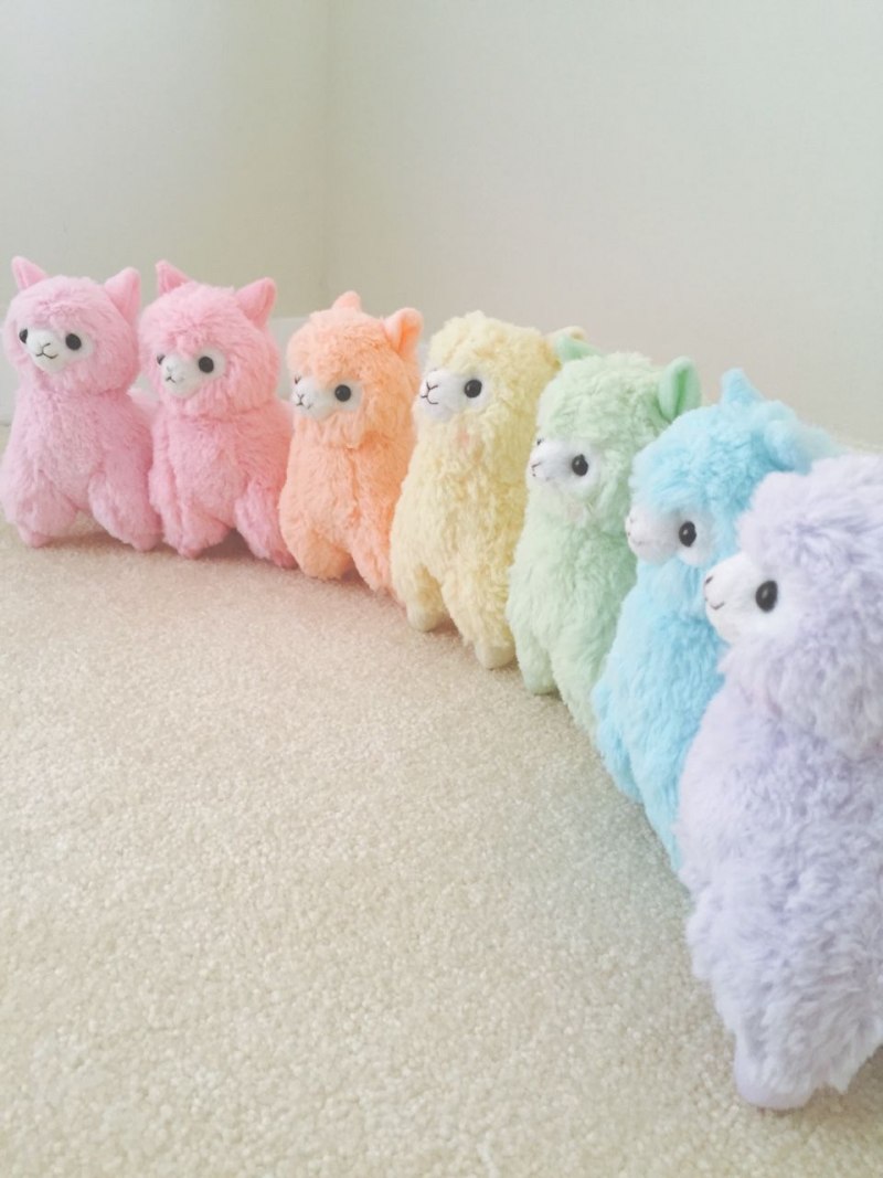 Коала спит