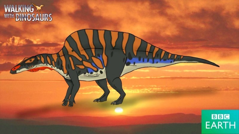 Ouranosaurus Skeleton