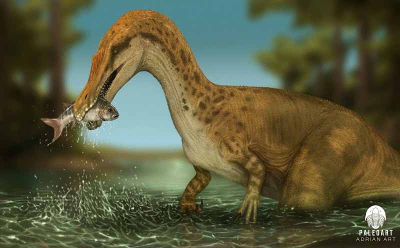 Baryonyx walkeri