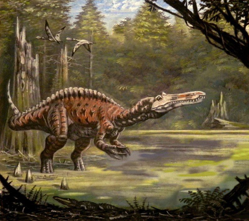 Baryonyx walkeri