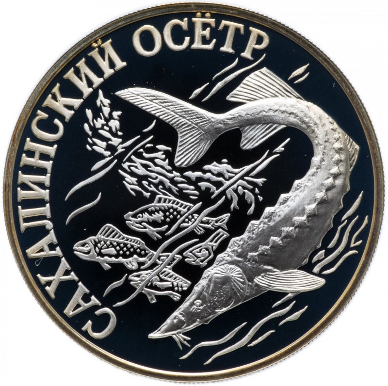 Гигантские рыбы Псефур