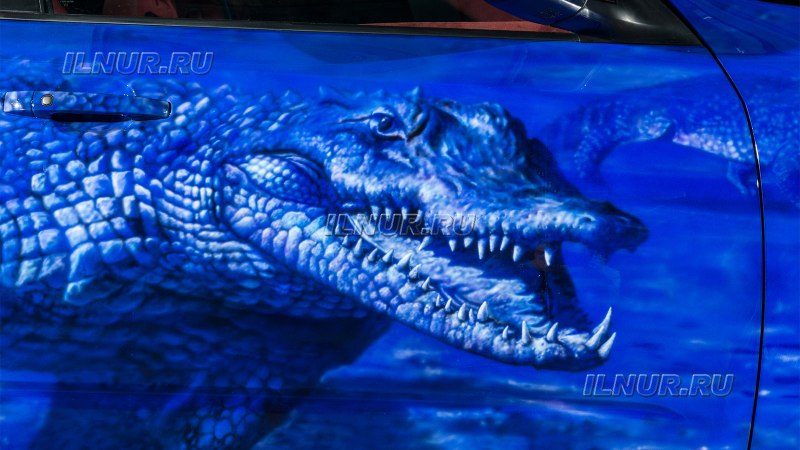 Caiman крокодиловый Кайман морда