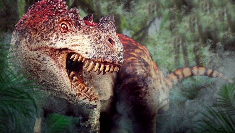 Ceratosaurus Dentisulcatus