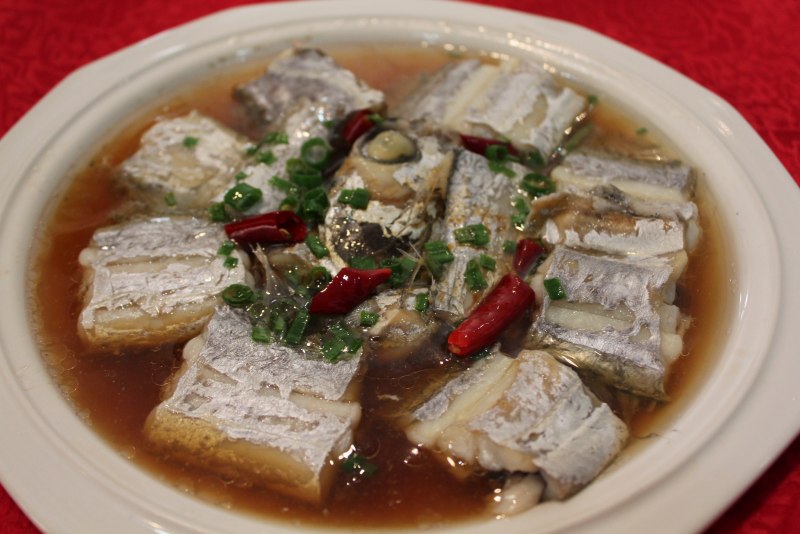 Бронзовая акула-молот (Sphyrna lewini)