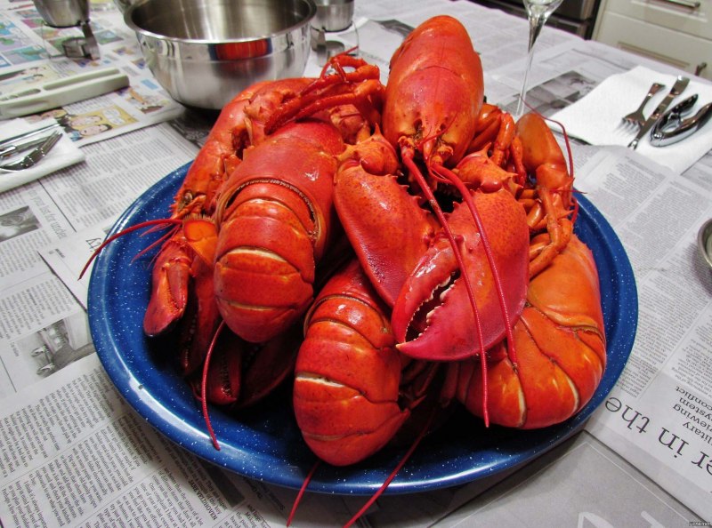 Омар морепродукт