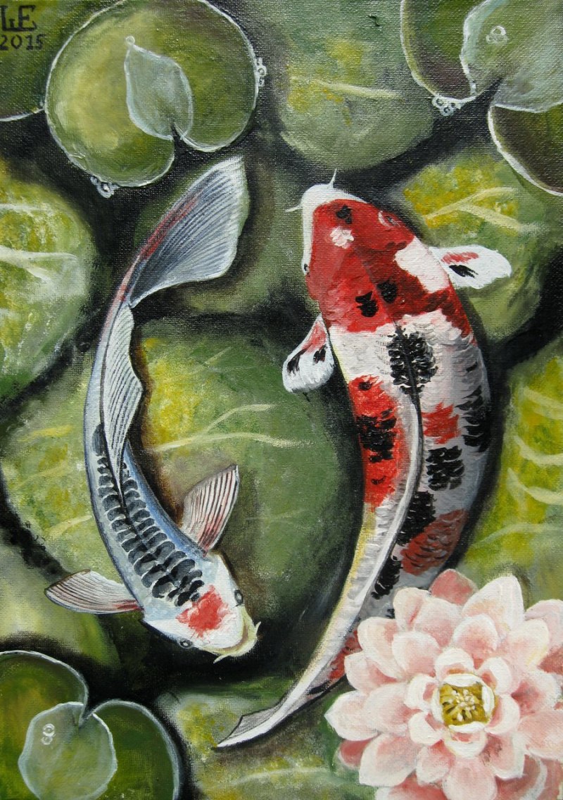 Европейский сом Silurus GLANIS