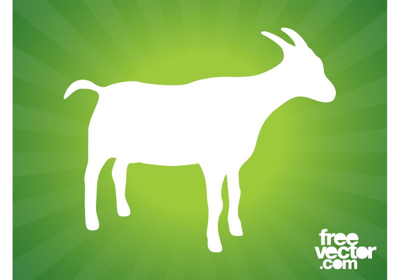 Raw Goat