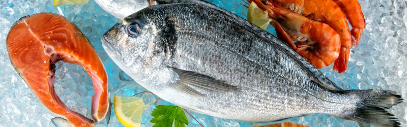 Red Snapper большая рыба