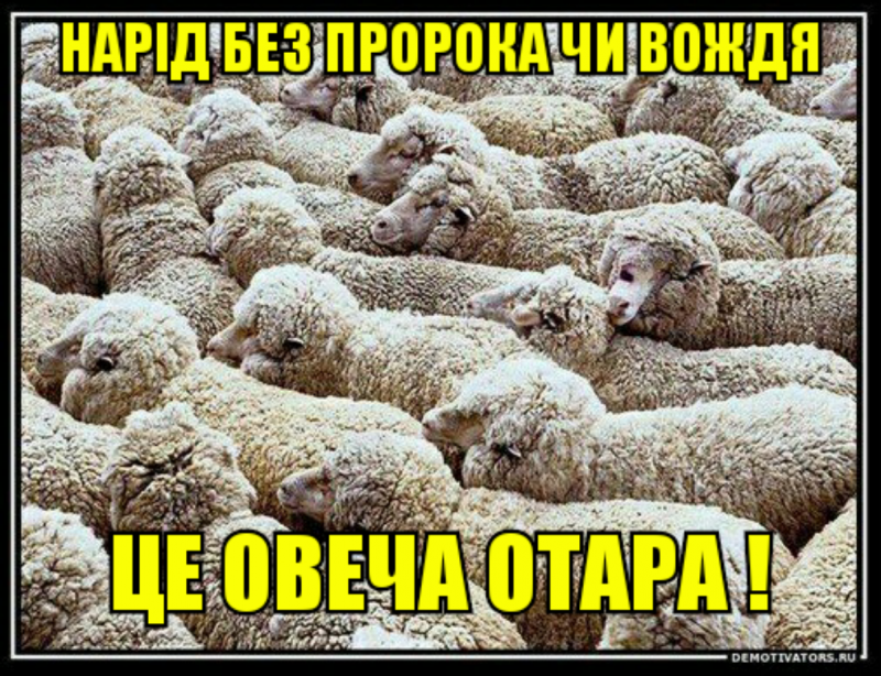 Дикий баран муфлон