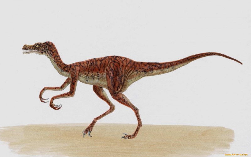 Орнитолестес динозавр (56 фото)