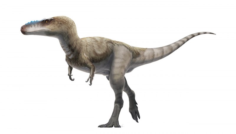 Jurassic World игрушка Орнитолест