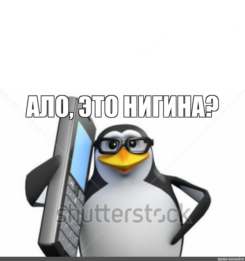 Пингвин с похмелья