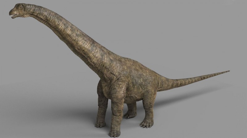 Аламозавр (Alamosaurus)