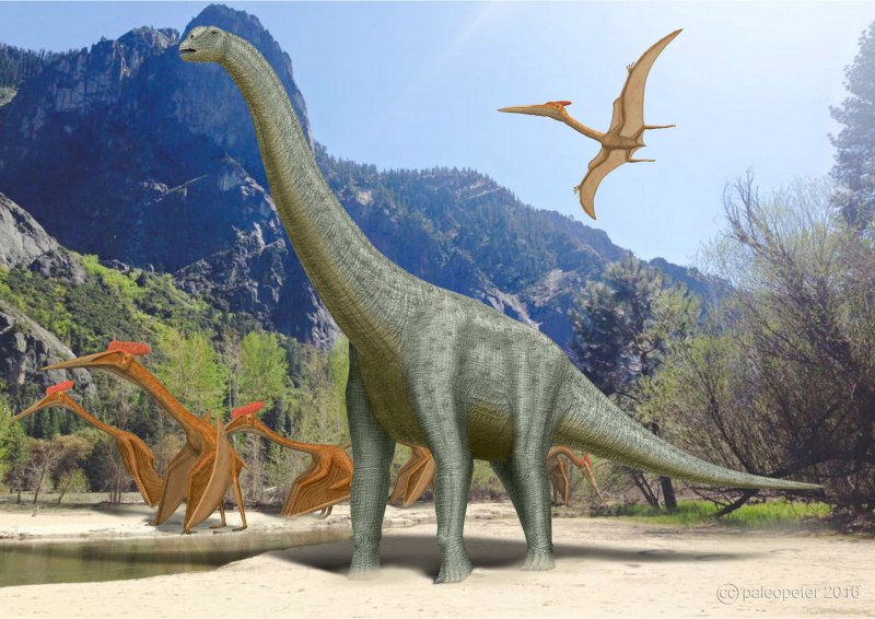 Аламозавр динозавр (56 фото)