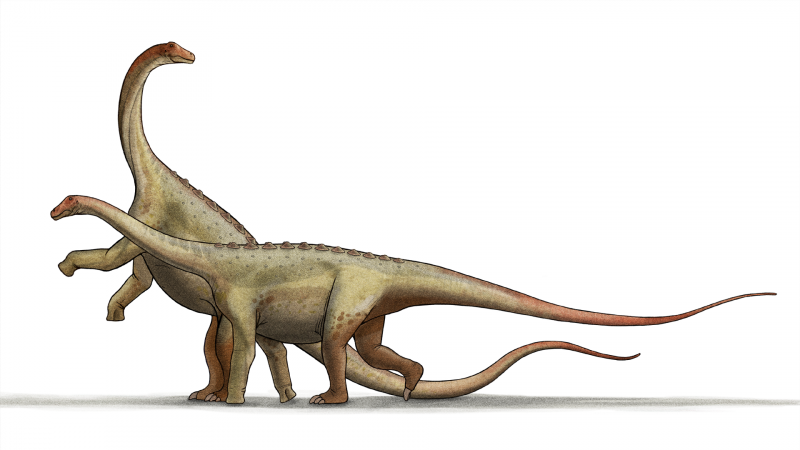 Alamosaurus Saurian