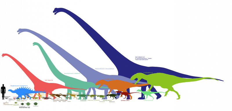 Cedarosaurus weiskopfae