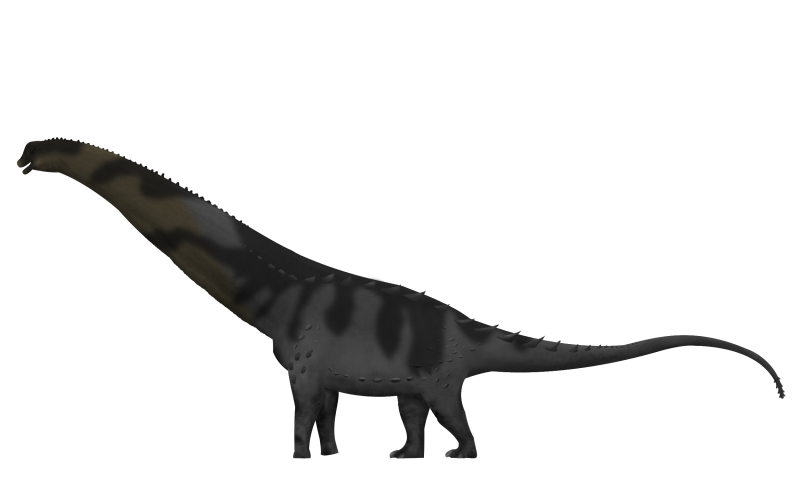 Alamosaurus sanjuanensis
