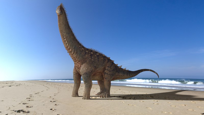 Volgatitan simbirskiensis