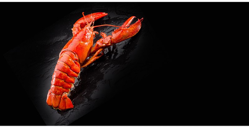 Морепродукты Омар лангуст