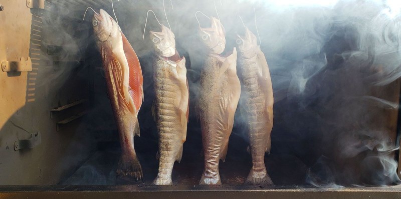 Ловля форели