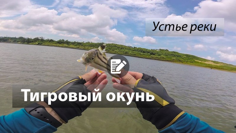 Хайрульский окунь