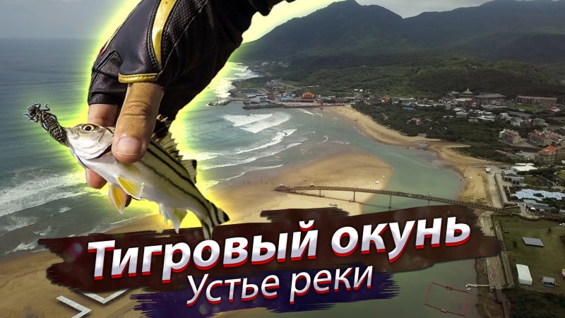 Павлиний окунь рыбка