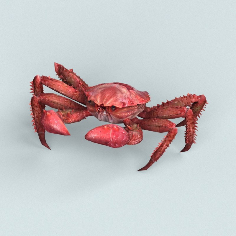 Морские Крабы красный