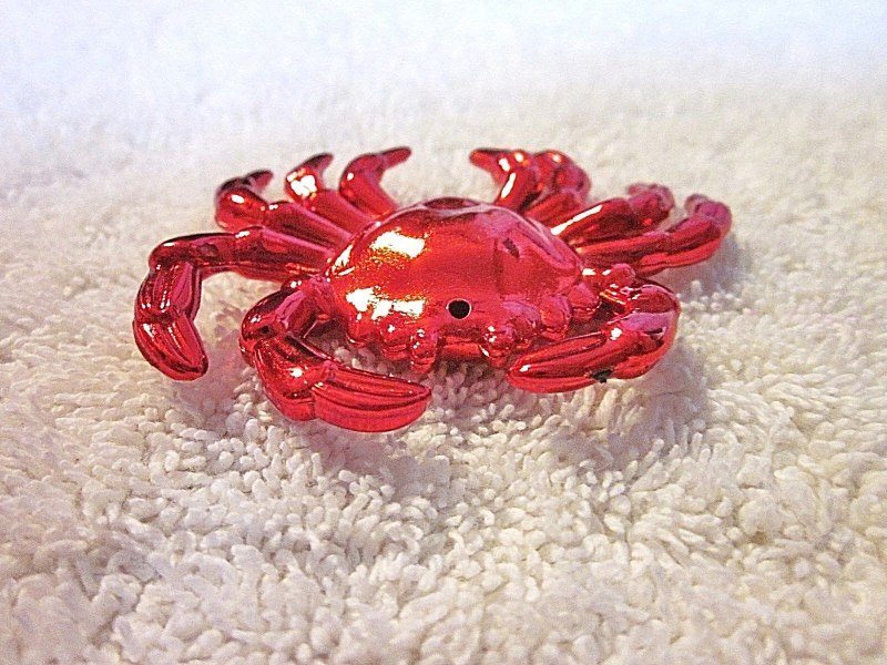 Краб красный паук - Red Spider Metasesarma SP.
