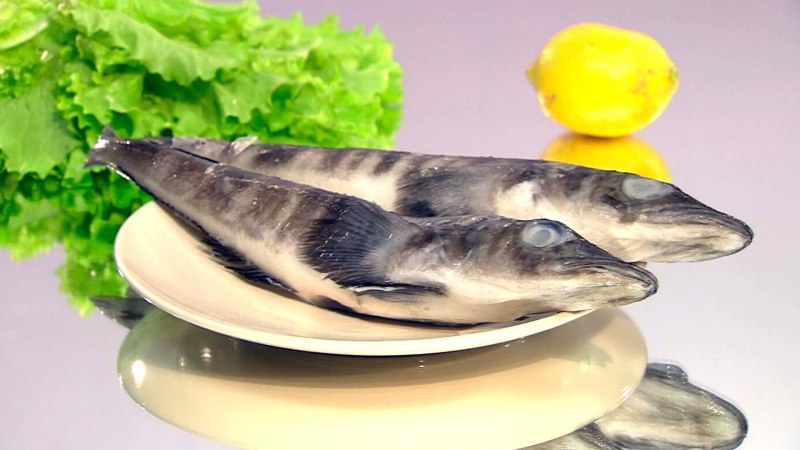 Белокровка мальчик