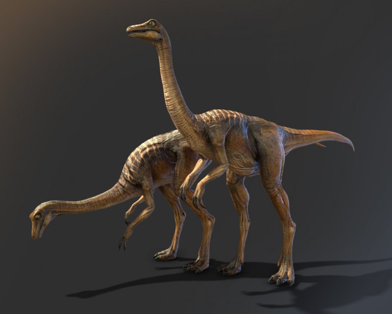 Галлимим динозавр (54 фото)