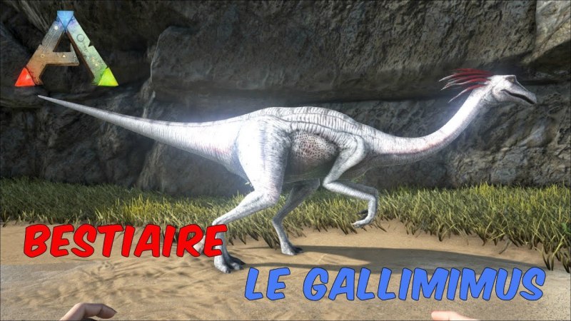 Valley of the Dinosaurs