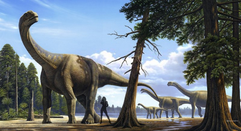 Camarasaurus динозавр