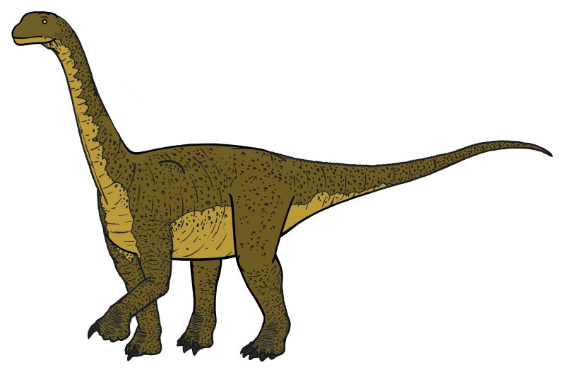 Prehistoric Kingdom t Rex