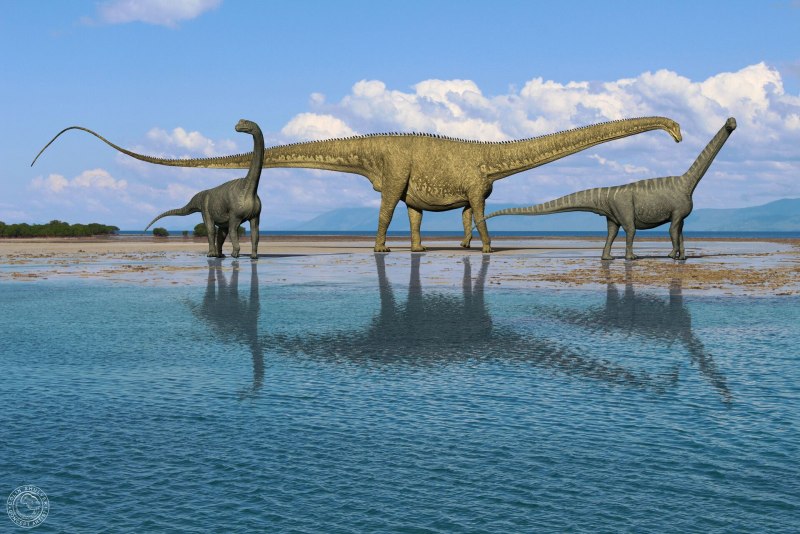 Шуанбаизавр. Shuangbaisaurus anlongbaoensis