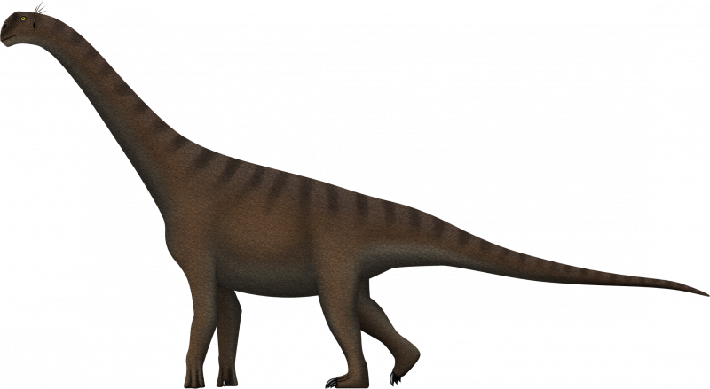 Фигурка Safari Ltd Эласмозавр