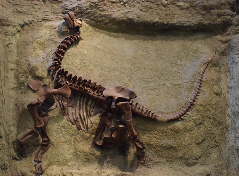 Walking with Dinosaurs 1999 Дромеозавр