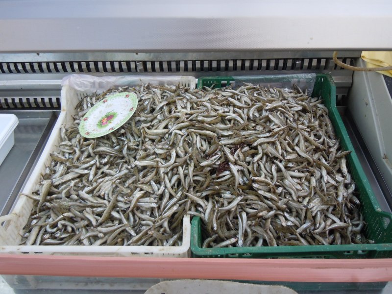 Рыба pesce Trombetta