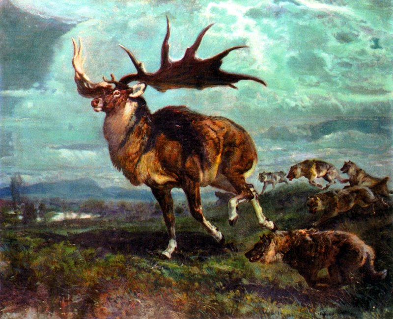 Ирландский олень (Megaloceros)
